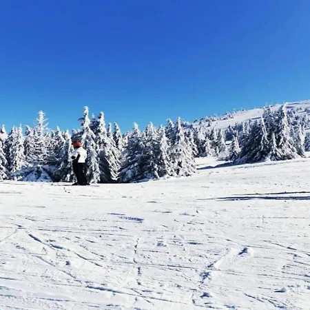 Kopaonik011 Konaci&woodside 3*