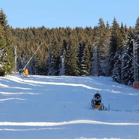Kopaonik011 Konaci&woodside Bed & Breakfast *